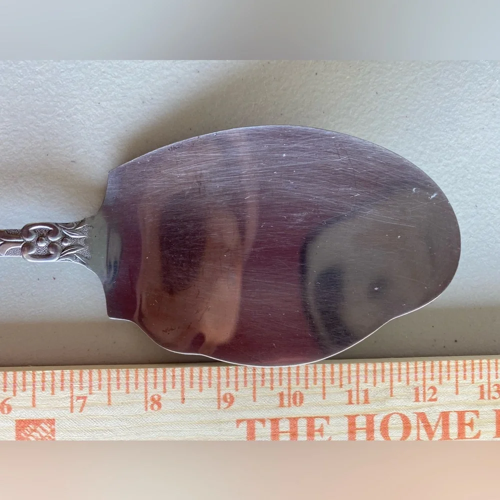 Elegant stainless steel serving spoon